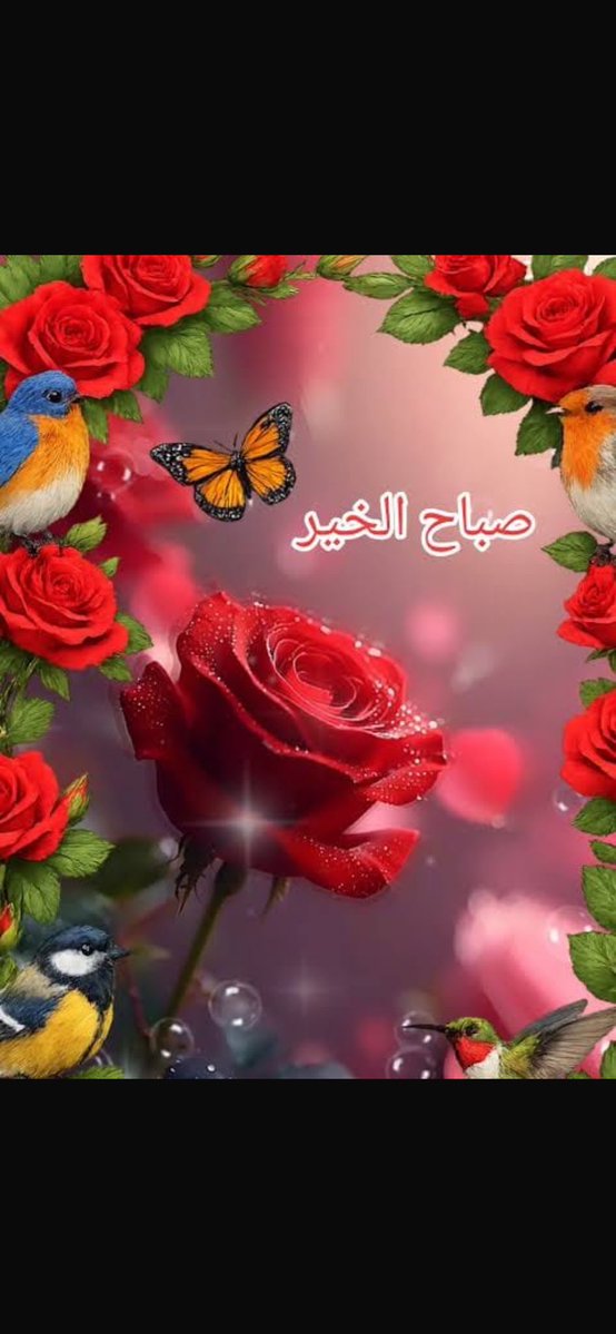 succar_toni's tweet photo. @HRHMBNSALMAAN https://t.co/xCJB0ul6ZQ