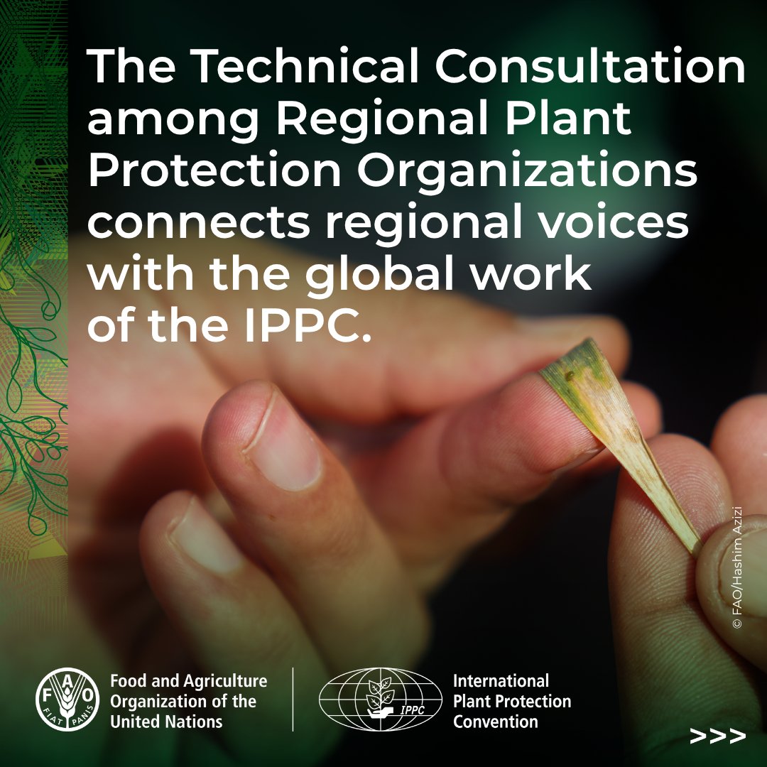 ippcnews's tweet photo. https://t.co/hqjcOiY1hB