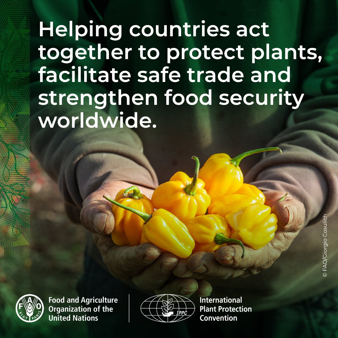 ippcnews's tweet photo. https://t.co/hqjcOiY1hB