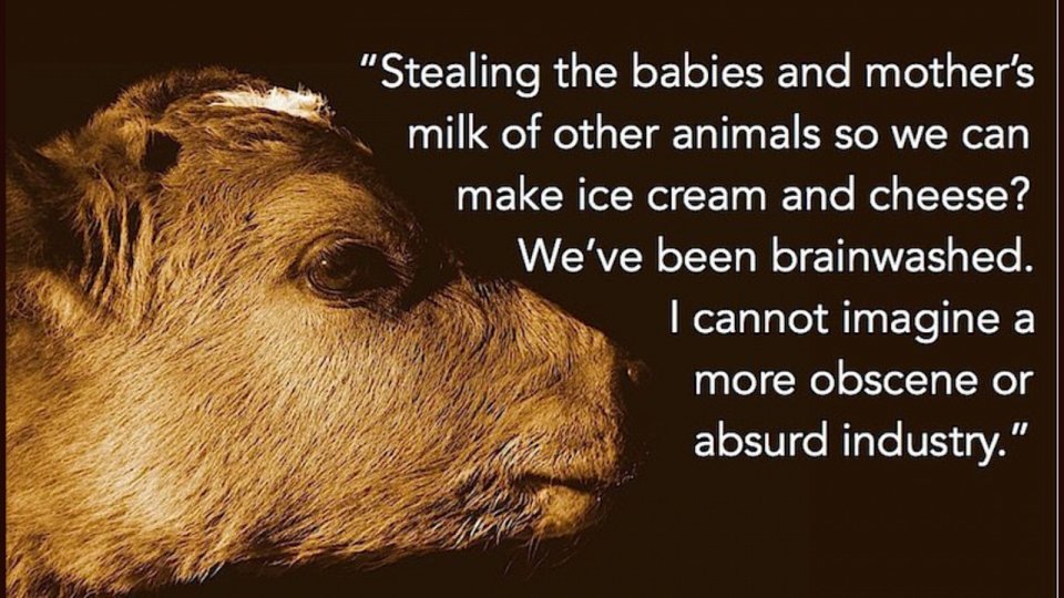 veganfuture's tweet photo. https://t.co/KCwgPiXDFZ