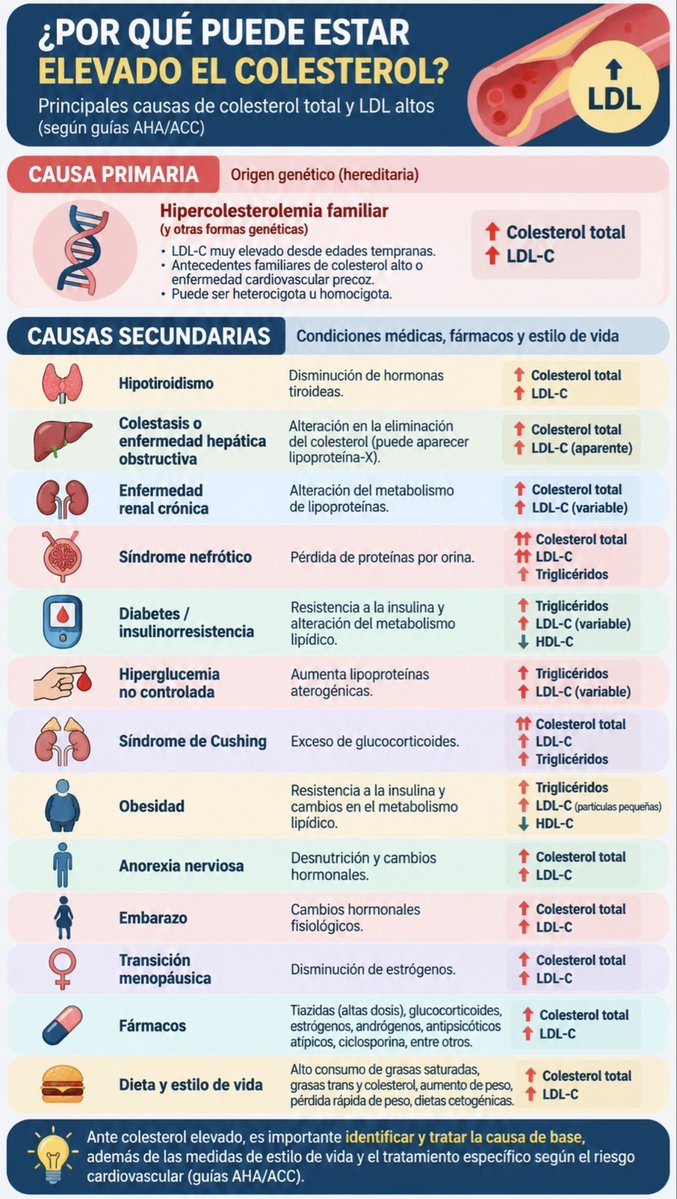 mayogastro's tweet photo. Causas frecuentes de elevación del #colesterol Muchas depende de tu #estilodevida Ponga atención y cuídese para poder tener buena #calidaddevida #corazon #infarto #derrame #salud https://t.co/OpL95AKtWZ