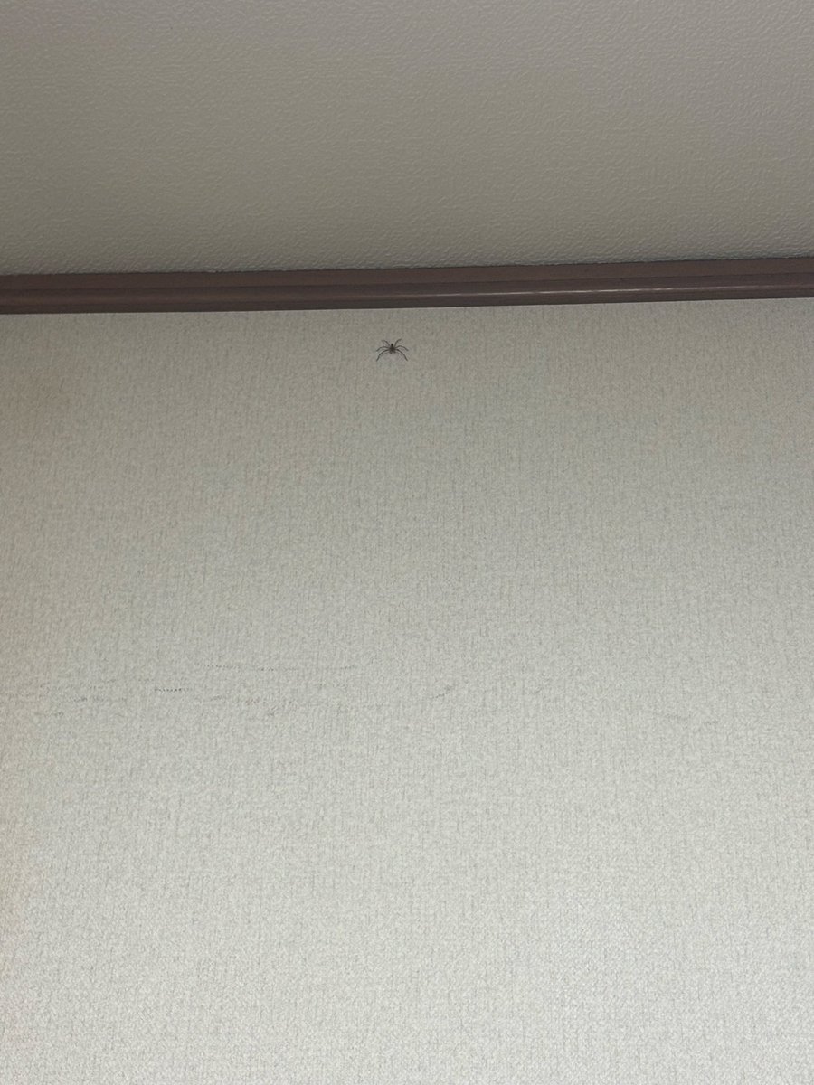 Deonia1999's tweet photo. 見られてる。 https://t.co/AK2BahOfUn