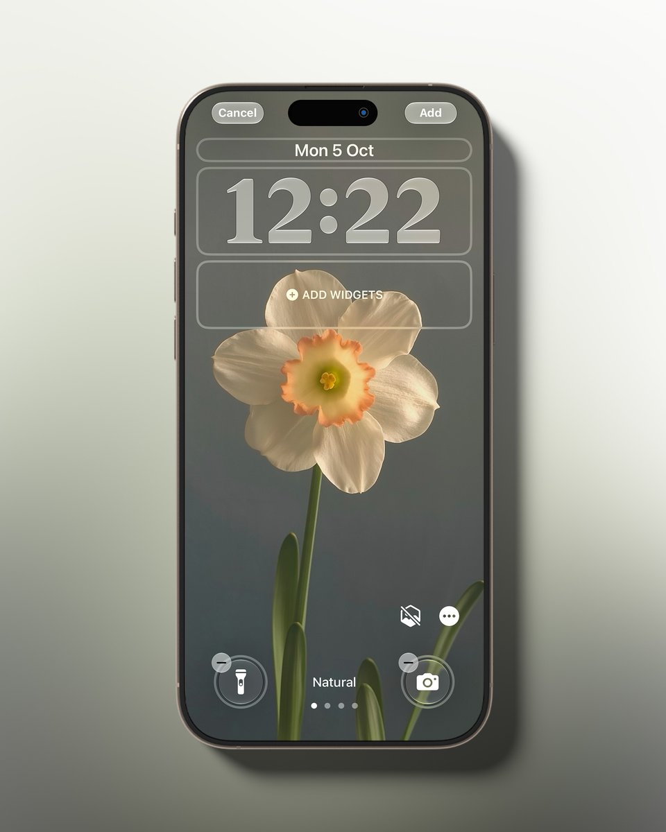 Eryth_Studio's tweet photo. Petal 🌼
High res link in bio https://t.co/QXH83ZvXW7