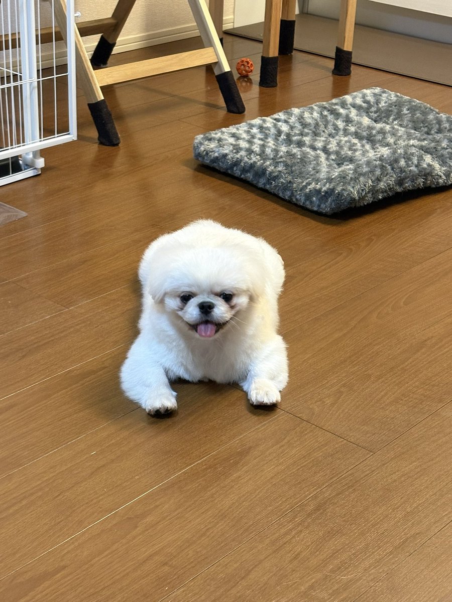 pupunofan's tweet photo. ←プライベート　　　営業スマイル→ https://t.co/iKF23PGvus
