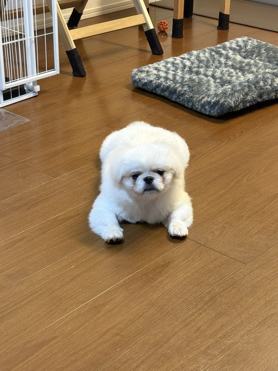 pupunofan's tweet photo. ←プライベート　　　営業スマイル→ https://t.co/iKF23PGvus