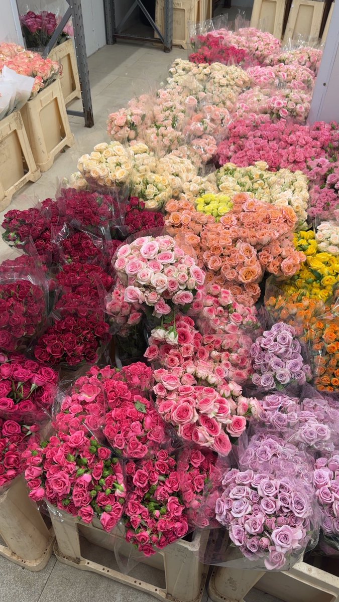 S3So0's tweet photo. الاثنين اللطيف💗
على كثر تعب الدوام وسحب الطاقة يوميًا الا اني اعشق الاطفال وتواجدهم حولي وتعبيرهم اليوم بالأشياء اللطيفه هذي💗 https://t.co/W5jvqb3HQ0