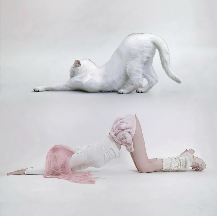 KITTYNICISM's tweet photo. ⠀ ⠀ ⠀⠀ ⠀ ⠀ ⠀ ⠀⠀ ⠀⠀ ⠀ ⠀⠀ ⠀ ⠀ ⠀ ⠀⠀ ⠀⠀ ⠀ ⠀⠀ ⠀ ⠀ ⠀ ⠀⠀ ⠀— ᨳଓ .⠀ ⠀ ⠀⠀ ⠀ ⠀ ⠀ ⠀⠀ ⠀⠀ ⠀ ⠀⠀ ⠀ ⠀ ⠀ ⠀⠀ ⠀⠀ ⠀ ⠀⠀ ⠀ ⠀ ⠀ ⠀⠀ ⠀ https://t.co/c0QOov7tMH