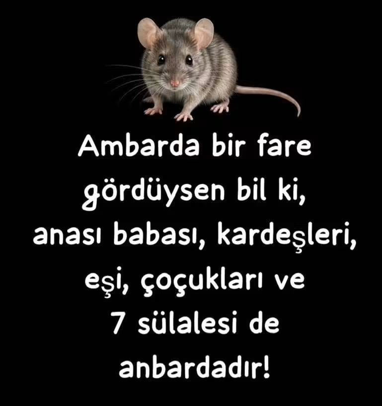 Wella2855's tweet photo. Gündeme;
Ahada Cuk diye oturdu.. https://t.co/LwYSsM79U7
