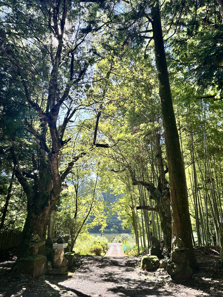 inorinoyamatabi's tweet photo. 来年5月21日(金) ~23日(日)または5月28日(金) ~30日(日)のどちらかの3日間に、高知 物部に伝わる民間信仰「いざなぎ流」に触れる旅を再び行います。
＊太夫さんのご都合により、上記のどちらかになります(来年1月頃決定予定です)。

高知 物部に伝わる民間信仰「いざなぎ流」。
陰陽道、神道、密教、修験と土着の信仰の入り混じった独特の形、神への祈りの言葉「祭文」と依代の「御幣」の多種多様さは他に類をみません。
それらが今も実際に行われている地 物部を今回訪れます。