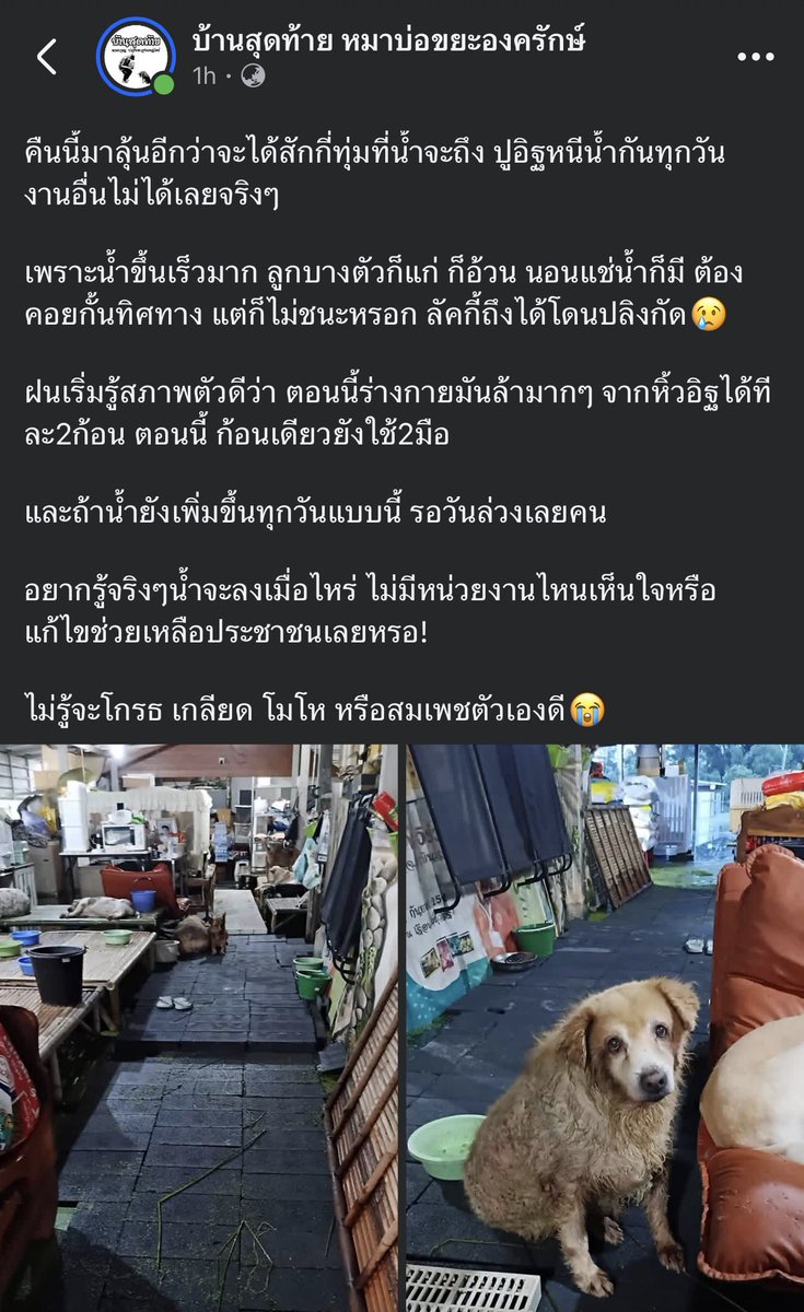 KhaohomSiri's tweet photo. ช่วยกันแชร์ Pls RT

ใครพอจะช่วยได้ ต้องการอิฐ ต้องการแคร่ให้น้องหมาจำนวนมาก ติดต่อพี่ฝนได้เลยค่ะ สงสารเด็กๆ🥺

#น้ำท่วม #น้ําท่วม2569 #น้ําท่วมนครนายก https://t.co/mXKRqrZrnw