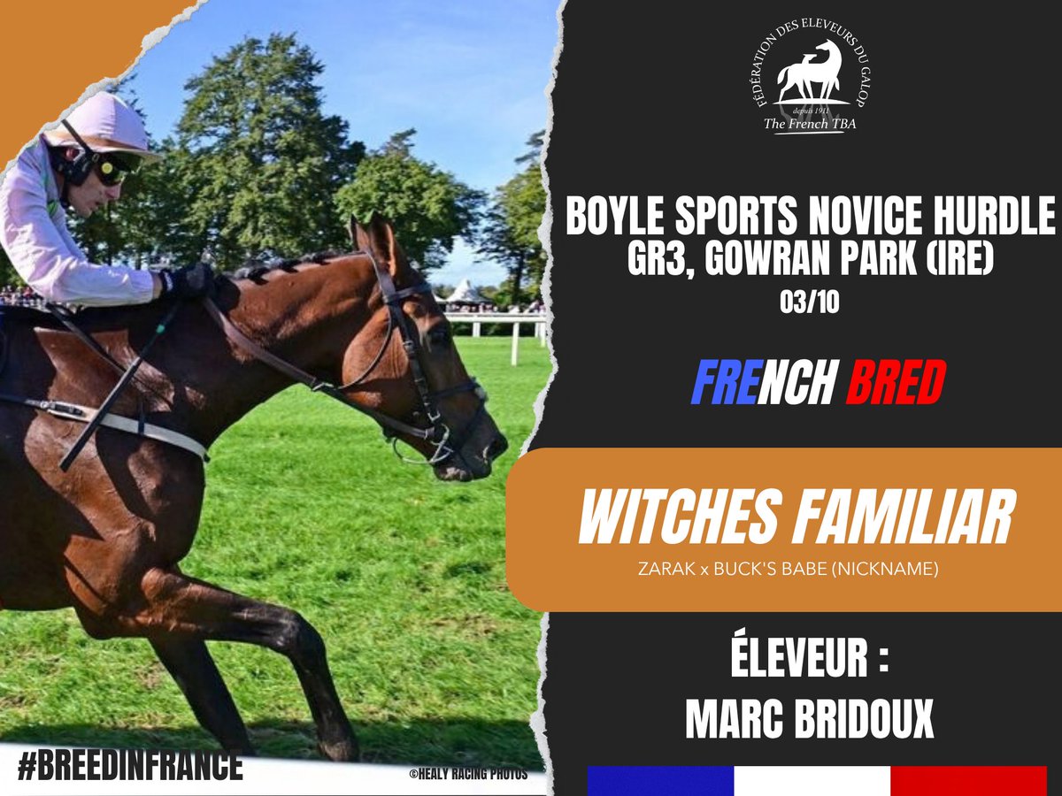 Fedeeleveurs's tweet photo. 🇮🇪 Félicitations à Marc Bridoux pour la victoire de WITCHES FAMILIAR, fille de #Zarak, étalon de @AgaKhanStuds , dans le Boyle Sports Novice Hurdle, Groupe 3 sur l'hippodrome de @GowranPark1 , en Irlande (03/10) ! 🎉
#vivelelevagefrancais #BreedInFrance #RaceAndCare https://t.co/WU9Ac2j7vD