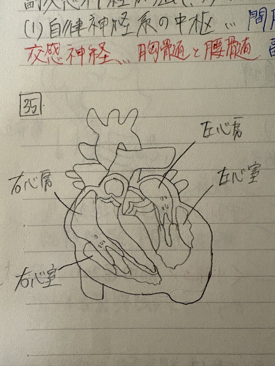 manodappi's tweet photo. しんぞうかいてみた🎶 https://t.co/Uk7GX0QRGZ