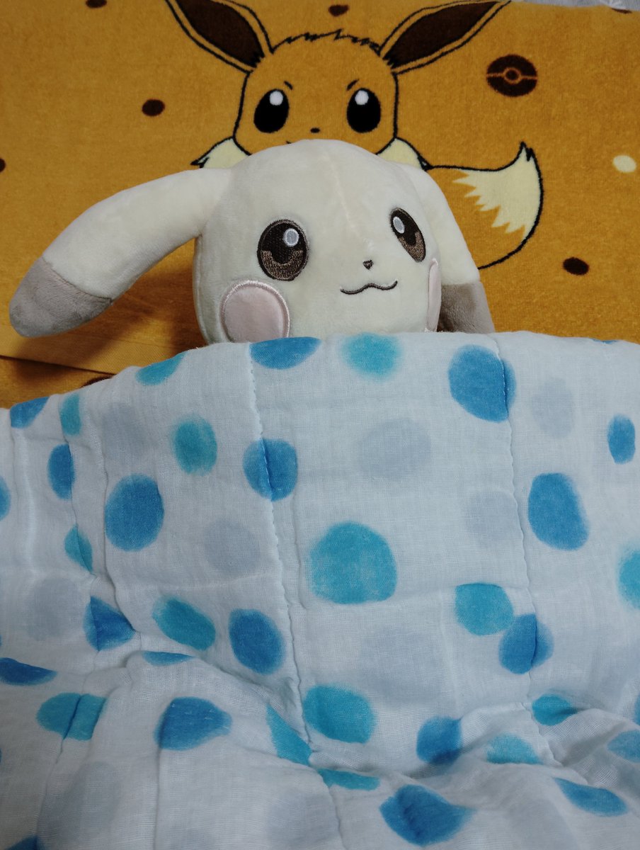 evpamo's tweet photo. ひとりで寝れるもん! https://t.co/YtQZlRH0LL