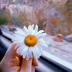Photo by 🌿🔥 بسام 🔥✈️ (@bsam__01)