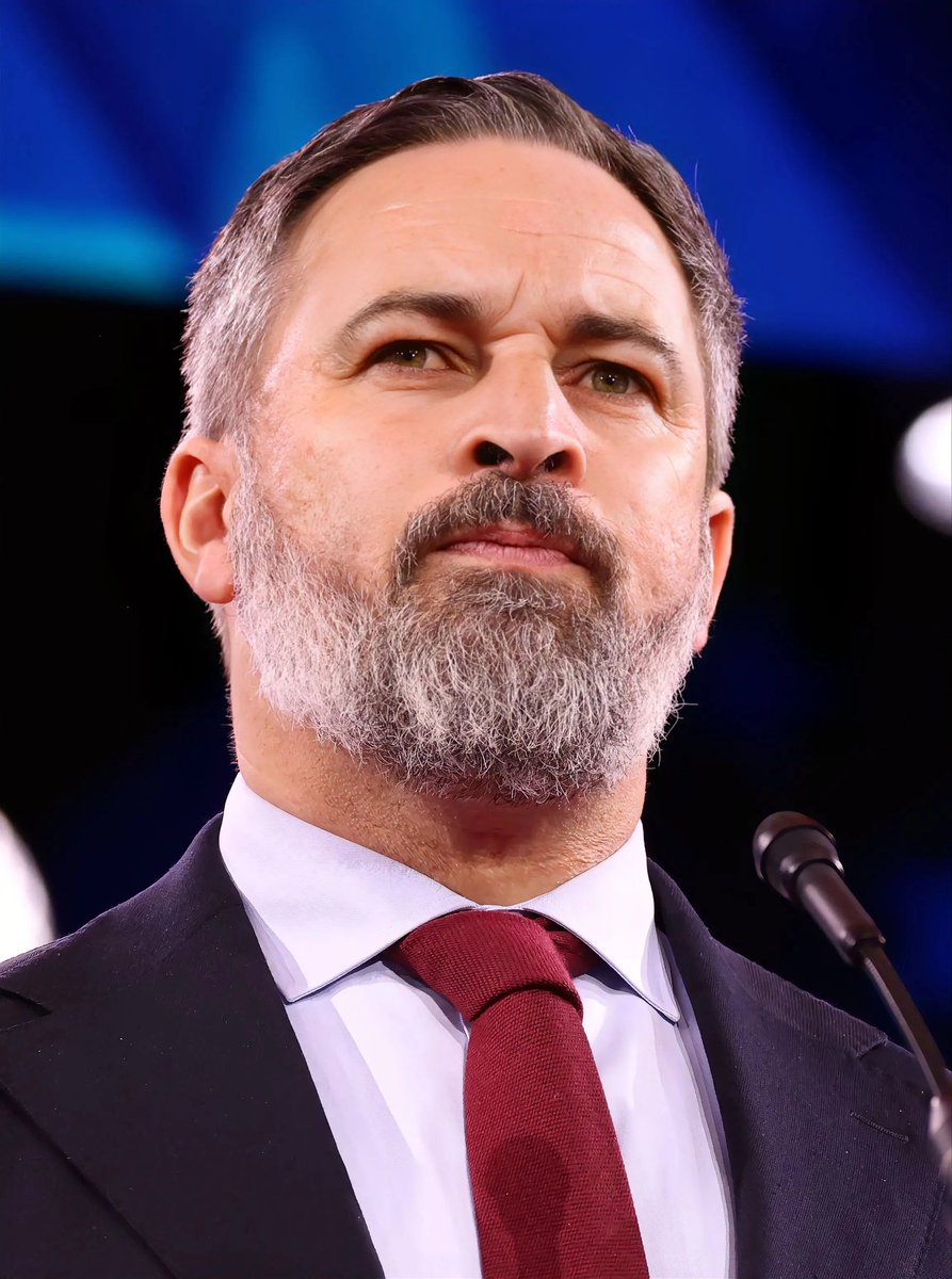 RocioInfantesb's tweet photo. Hoy amanecimos con buenas noticias para España. 🇪🇸 ¿Les gustaría que el líder de VOX, Santiago Abascal, sea el próximo Presidente del Gobierno Español? https://t.co/6vk1NvnHiG