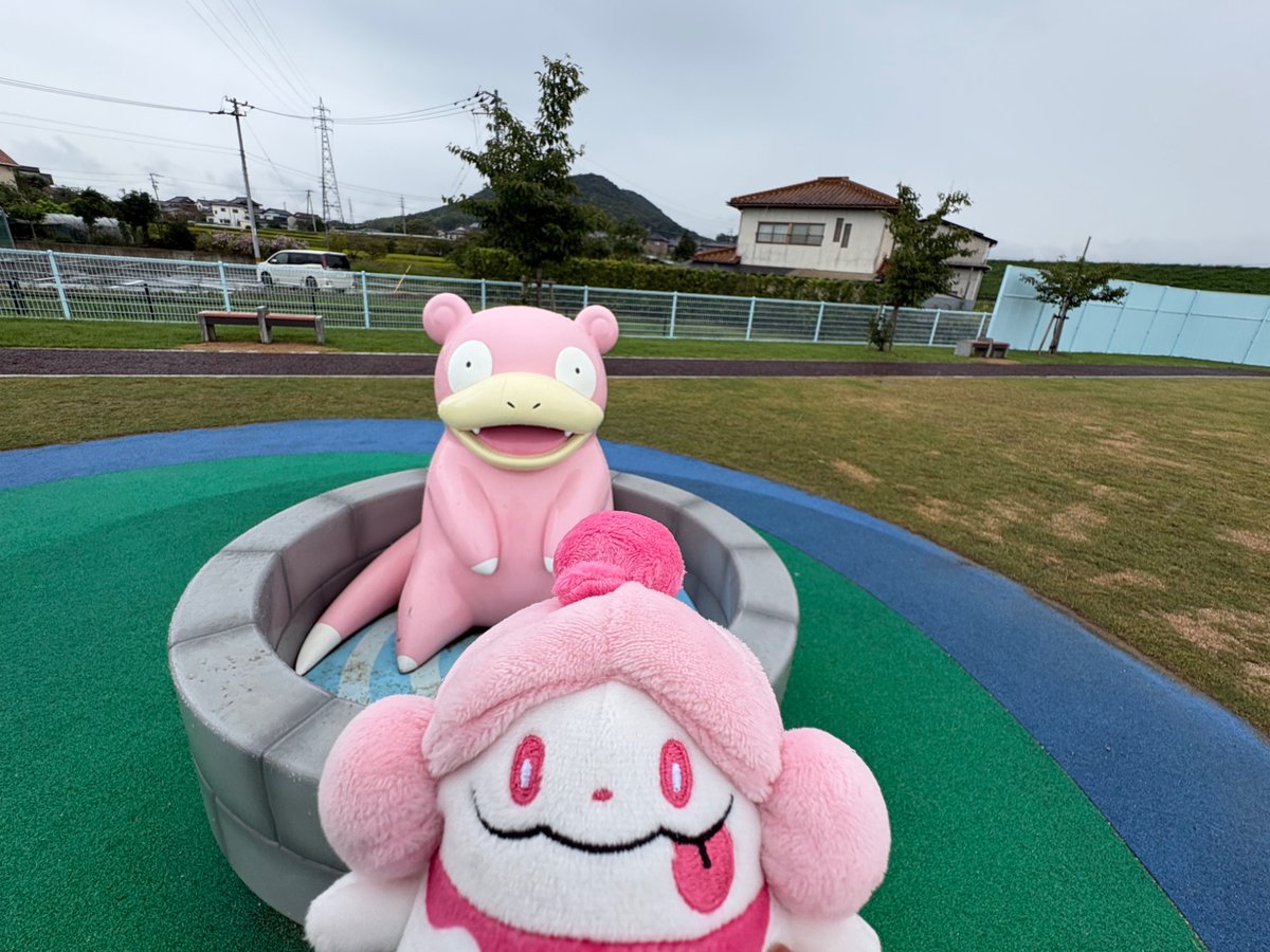 teaka393's tweet photo. カガワやぁん
やぁん......ヤドンいっぱいやぁん....... https://t.co/h8PKV0z525
