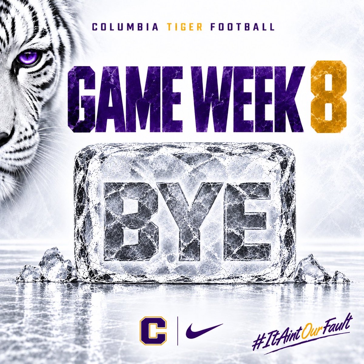 CHSTigerPride_'s tweet photo. Bye Week. ๐ฅถ๐
#ItAintOurFault #OwnYourIMPACT #FN5GL #Entry @tmobile https://t.co/1MqGvanKb6