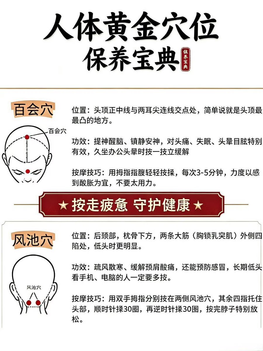 SoulSloop99's tweet photo. 人体黄金穴位保养宝典 https://t.co/oL1rWelA2R