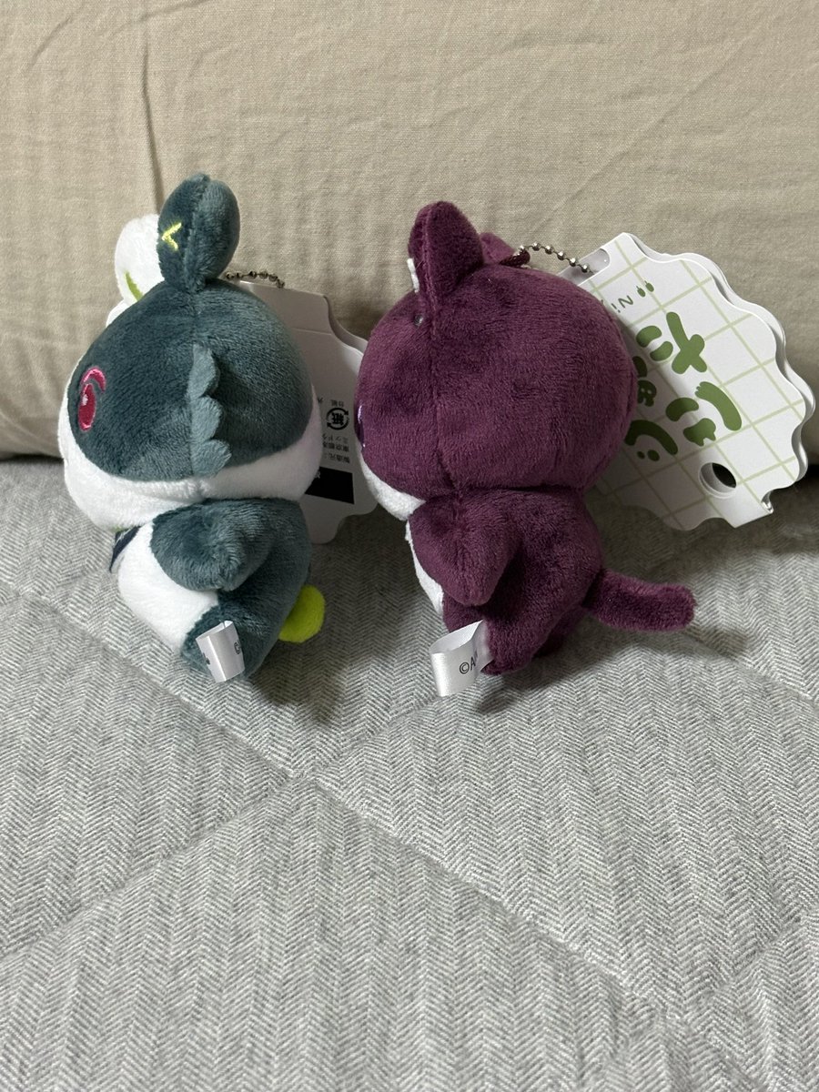 youkan1027v's tweet photo. なんか薄々思ってたけど、うちの たうん もしかして丸いか？？？？？ https://t.co/puh0Ku4CMO