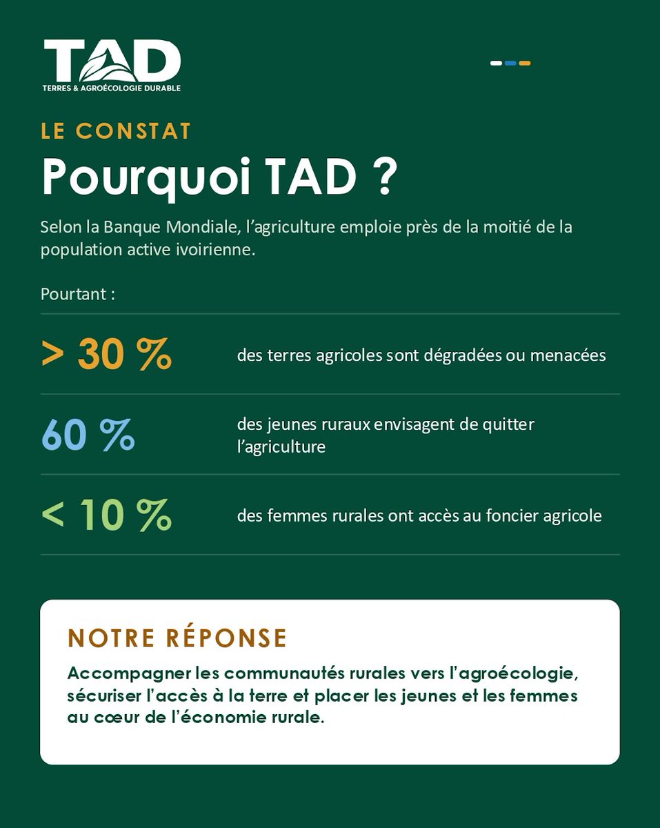 TAD_org's tweet photo. 🌍 En Côte d'Ivoire, près de la moitié des actifs travaillent dans l'agriculture. Mais sols dégradés, climat, exode des jeunes et inégalités fragilisent le secteur.
TAD est née pour y répondre 🌱 

#Agroécologie #Agriculture #DéveloppementRural #Femmes #Foncier #Équité https://t.co/0hNnVMjGtR