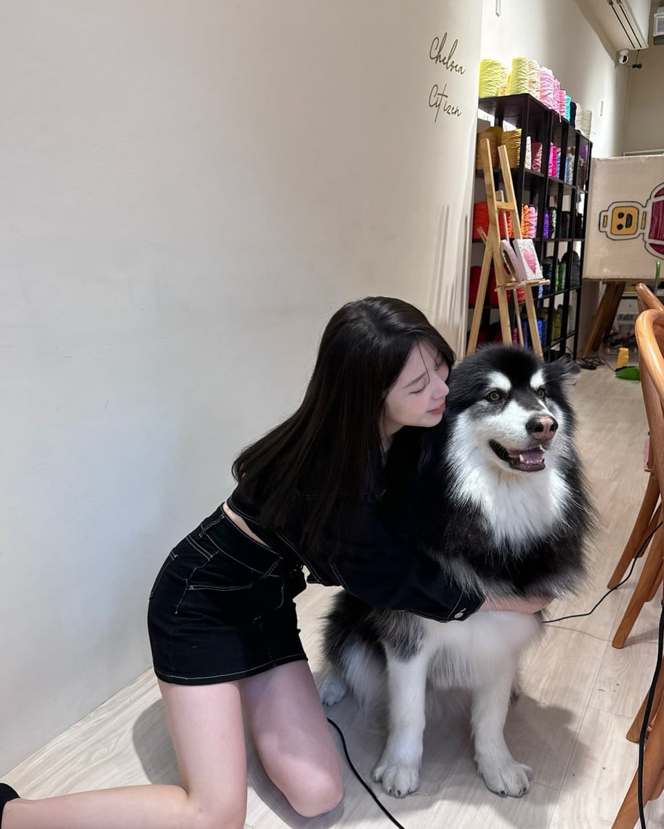 Chenczyg's tweet photo. 小狗总会治愈你🐶 https://t.co/96aPUjKngO