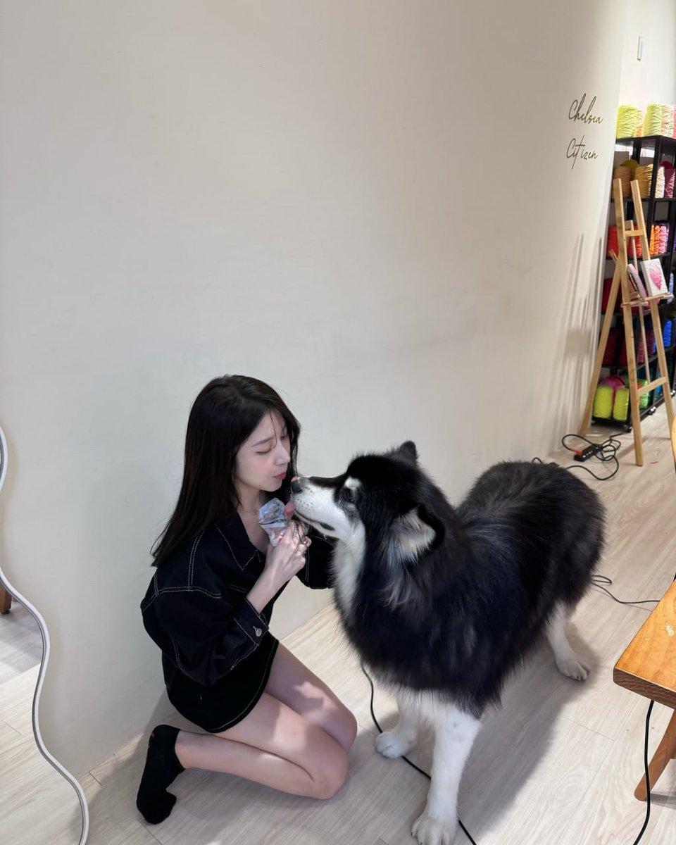 Chenczyg's tweet photo. 小狗总会治愈你🐶 https://t.co/96aPUjKngO