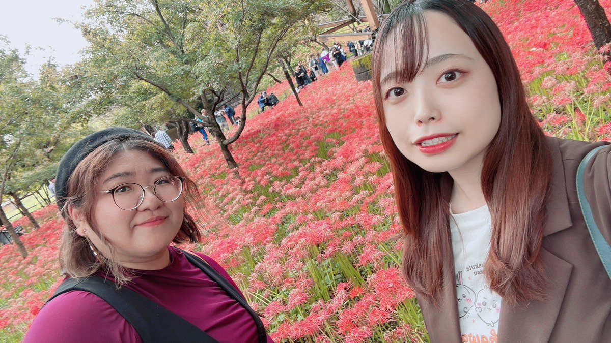 MurajiY's tweet photo. そう、更に出遅れての
野口(@shino_328n )との曼珠沙華会

いつもより咲くの早すぎて
だいぶ終わりがけだったけど
最深部は綺麗だった！！

定期的に季節の植物を浴びたいな https://t.co/O7pmBRV0BY