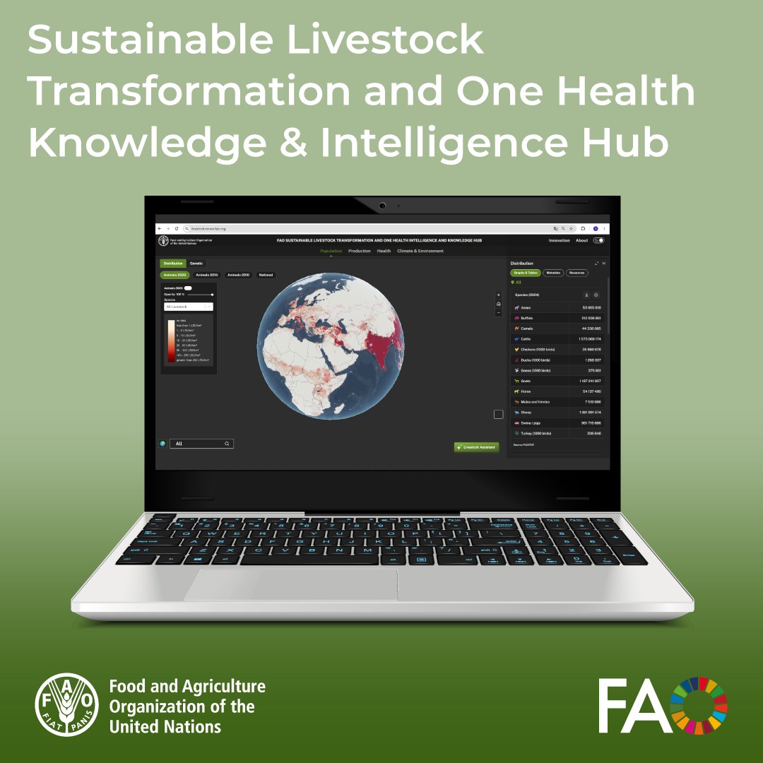 FAOLivestock's tweet photo. Discover @FAO’s work on livestock like never before!

Explore maps, dashboards and data across countries, regions and themes, from animal populations and production to health, climate and the environment.

🔗 https://t.co/DvpMzLkO3h https://t.co/m9rLgts866