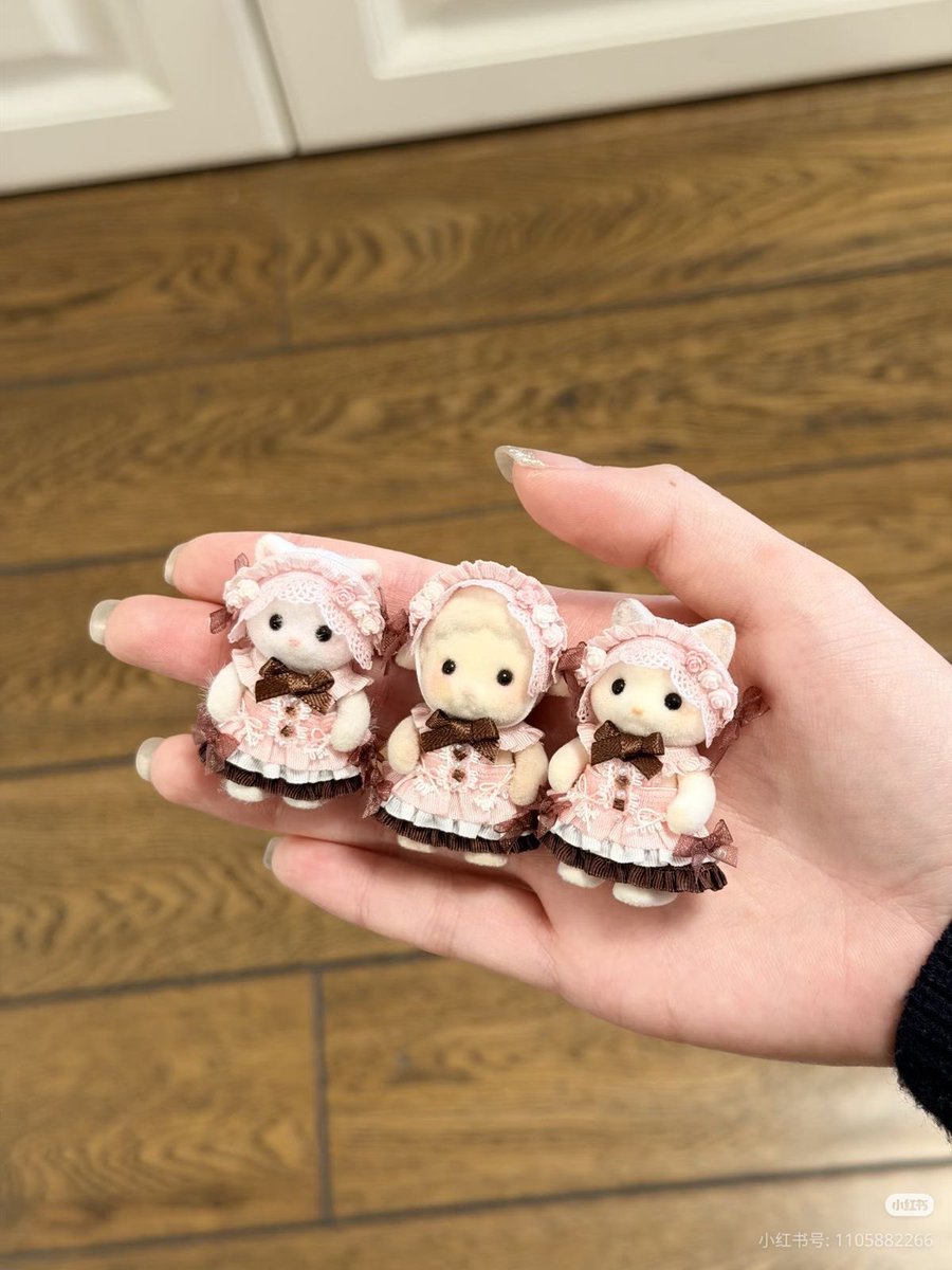 Fairieshelves's tweet photo. ⋆𐙚₊˚⊹♡(ू•ᴗ•ू❁) https://t.co/2OCkIOwAtf