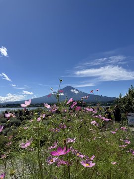 anitahalim's tweet photo. 富士山は本当に美しいですね|||富士山はとても美しいです https://t.co/uOmgFlInlx