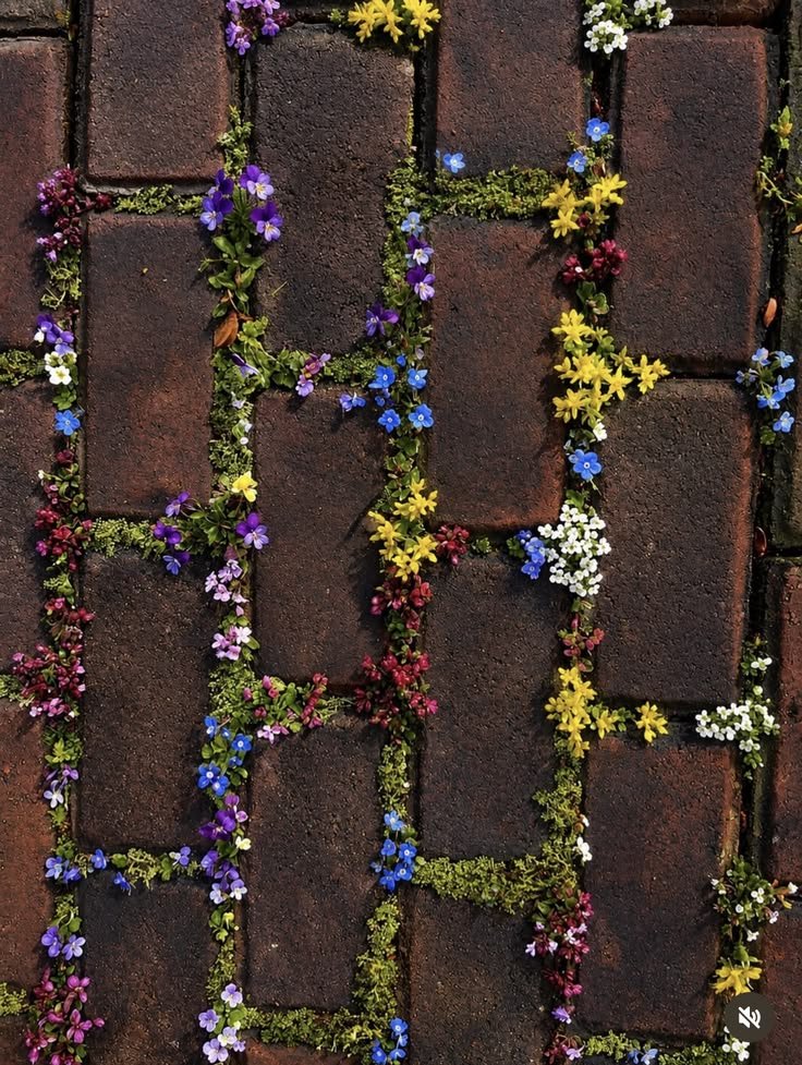 AestheticcEarth's tweet photo. Life grows through every crack https://t.co/myXqODiiE7