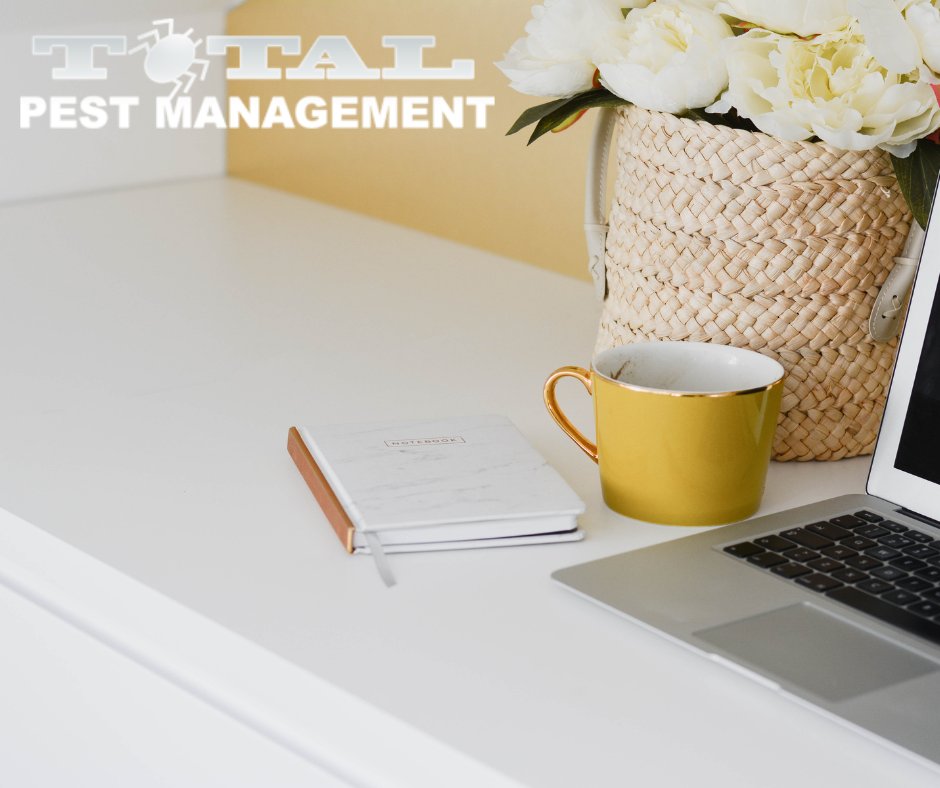 TotalPestManage's tweet photo. Good morning from your neighbourhood pest experts. Total Pest Management is here to deal with your unwanted critters. Contact us for all your pest management needs. https://t.co/gNvQED8x3E
#pests #pestmanagement #mice #rats #rodents #insects #ontario https://t.co/5KlQcLNrv1
