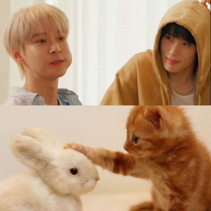 optimusxbaifern's tweet photo. แจโดคาแรคเตอร์แมวจ้มกับกระต่ายขาวชัดเจนมากง่ะ ! 🐈🐇 https://t.co/ZZu1dVzZGV