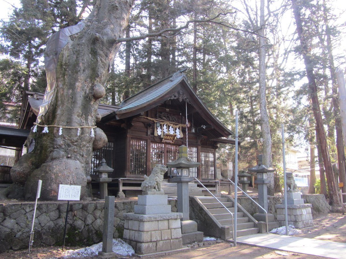 silkrenka's tweet photo. 本日も諏訪大社……の前に諏訪大社とも関わりの深い「先宮神社」のご紹介ですわ〜！　建御名方神が諏訪にやってきた際、この土地にいた土着の神と争いになり、敗れた土着の神はその後この領域から出ることを禁止されたため、現在でも神社の境内前の小川には橋をかけないという伝承があるそうです！ https://t.co/zgGfQz5CS9