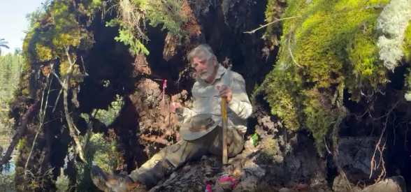 FirstClassMetal's tweet photo. Sometimes, a fallen tree reveals more than you expect.

CEO Marc Sale is roughly 1 km northeast of the Pettigrew shaft, where the team has taken him to another area identified through soil sampling.

And, quite fortuitously, a fallen tree has opened up a new window into the geology.

With its roots pulling back the overburden, the ground beneath has been exposed, revealing intense shearing and quartz veining - exactly the kind of geological features that can make an exploration team stop and take a closer look.

The team has taken samples from the area, and there’s plenty of intrigue around what they might show.

Now we wait for the assays. We’ll share the results when they’re back.

Check out the full update and join in with the conversation at: https://t.co/pZO1swvaVA

#FirstClassMetals #FCM #Pettigrew #Ontario #GoldExploration #MineralExploration #Geology #Gold #OTC