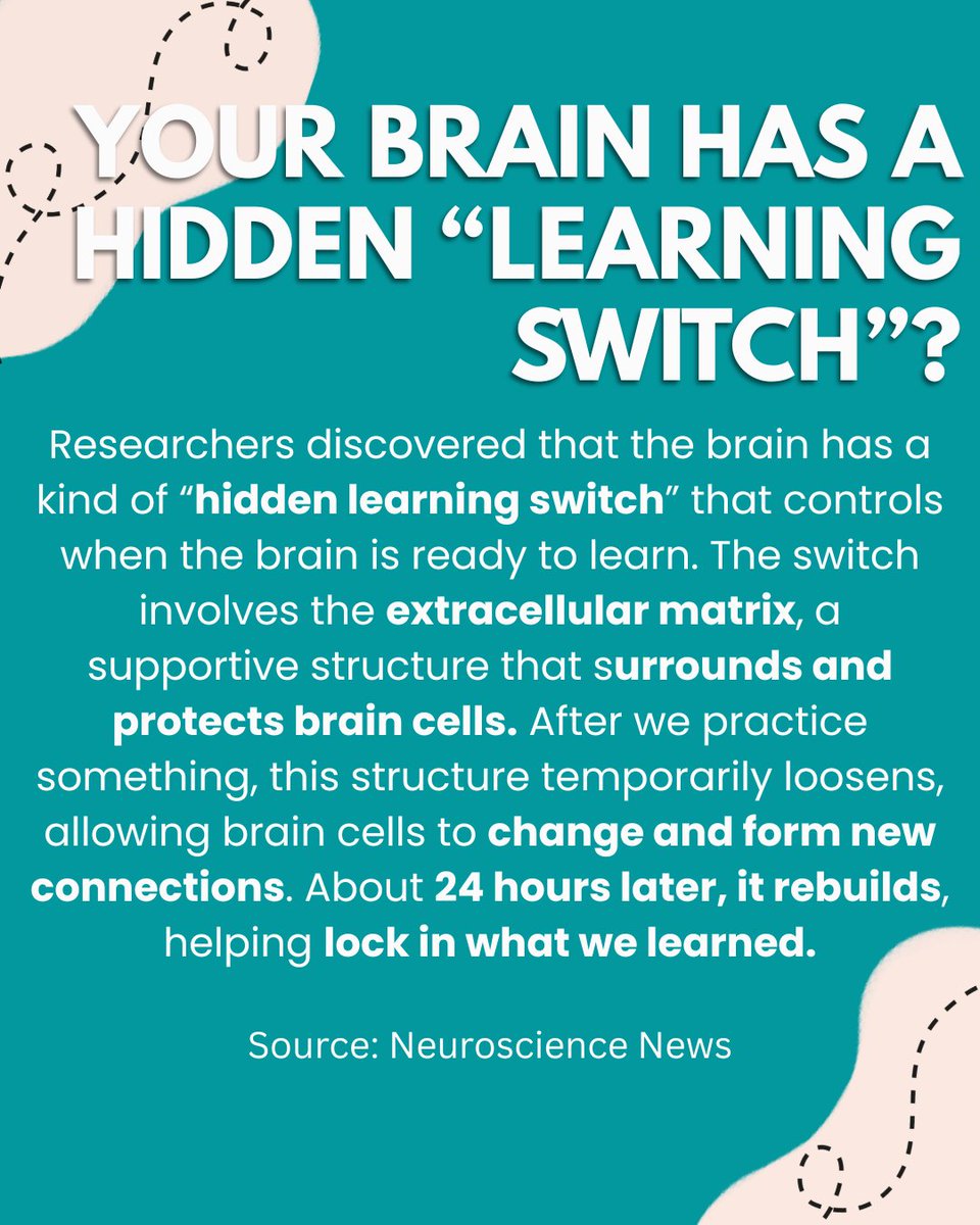 simplyneurosci tweet picture