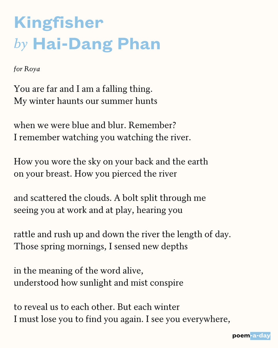 POETSorg's tweet photo. 10/5/26 “You are far and I am a falling thing.” https://t.co/mQLVik5haF