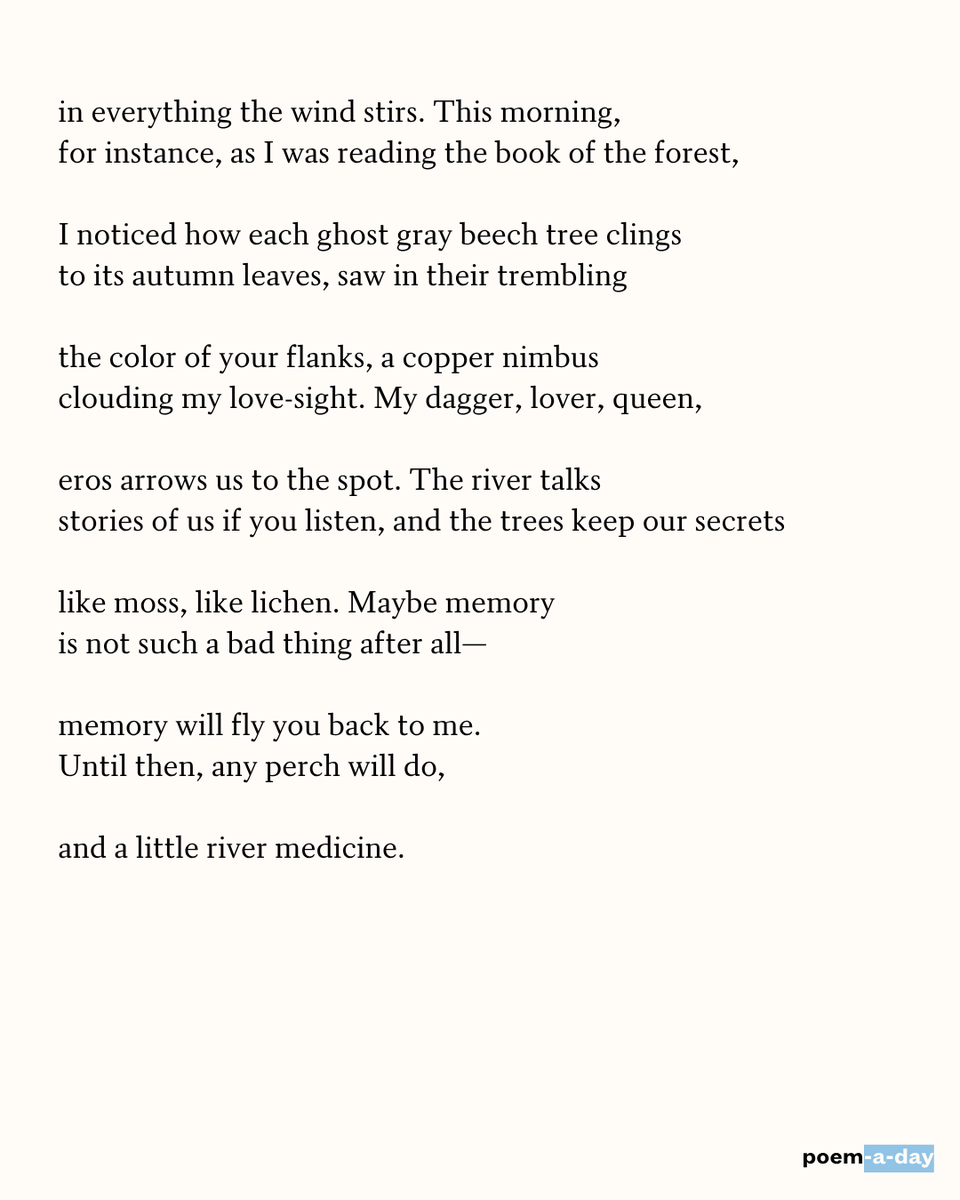 POETSorg's tweet photo. 10/5/26 “You are far and I am a falling thing.” https://t.co/mQLVik5haF