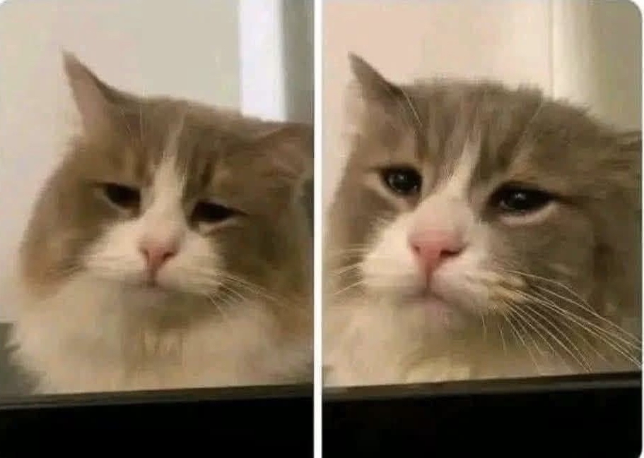 Guarromantico_'s tweet photo. “Ojalá se acabe la semana pronto”

— Yo en pleno lunes a las 7:00 a.m. https://t.co/gPSdpI3H5Q