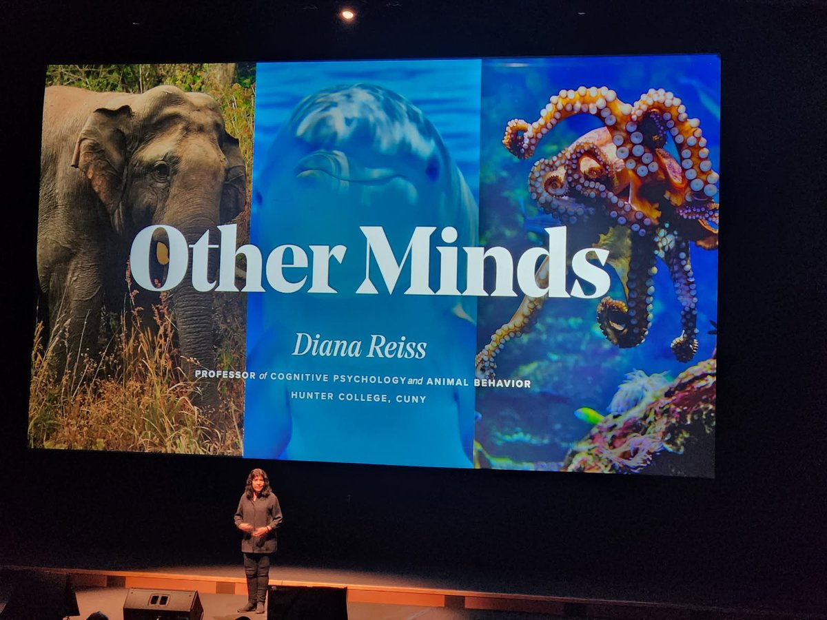 SciEntExchange's tweet photo. What an amazing sold out event in Santa Monica with experts on intelligence from our friends at @templeton_fdn and @bigthink, hosted by Chris Duffy! #IntelligenceEverywhere #ScienceAndEntertainment #BigThink #ScienceEvents #SantaMonica #STEM #OtherMinds https://t.co/0XYzhedzJf