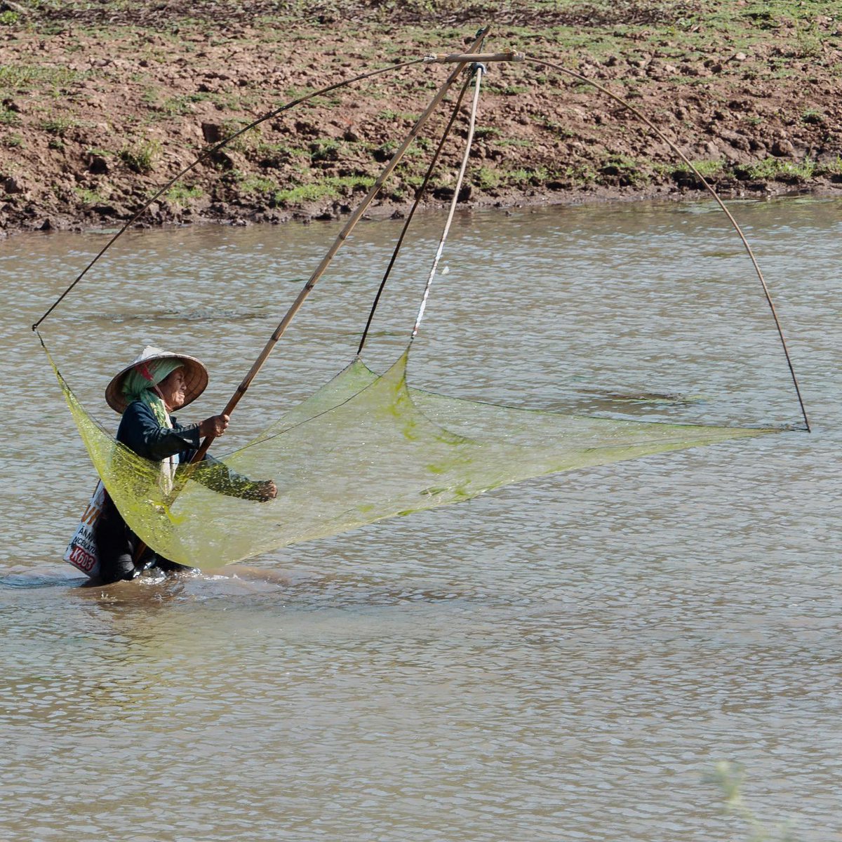 SAAO76's tweet photo. Fishing like I’ve never seen before. Such a unique technique, and it’s pretty impressive. https://t.co/tVJgZhr7YE