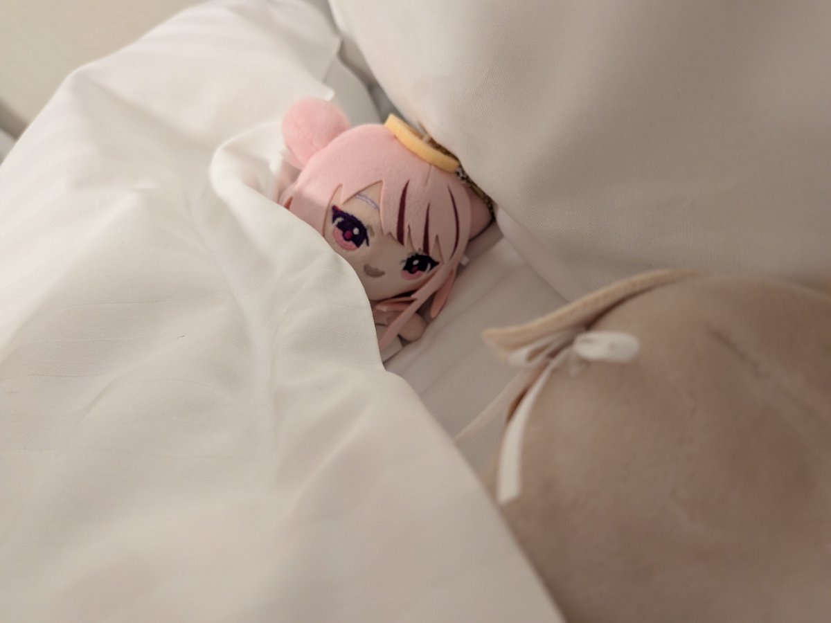 mizu_0213's tweet photo. ヒナはさ、好きな人とかいるの？ https://t.co/ZELe1cjB09