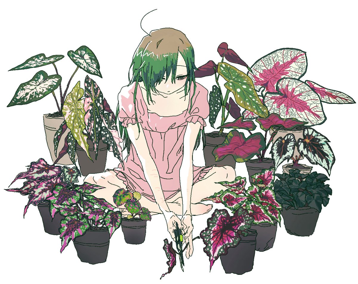 kkkurosuneko's tweet photo. https://t.co/JaKuF6dO9a