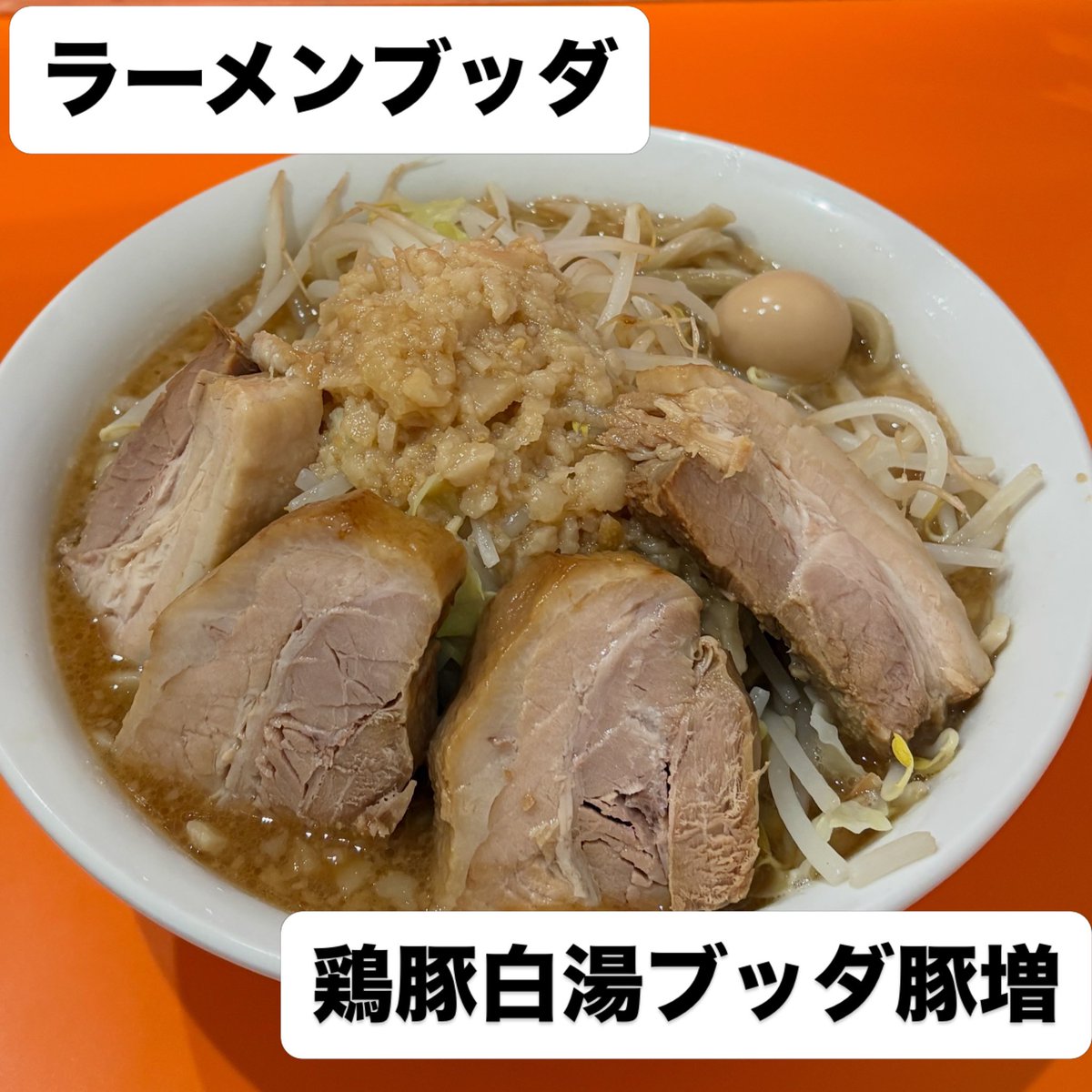 MSS6454's tweet photo. #ラーメンブッダ 
#鶏豚白湯ブッダ

4連休最終日は明日からの仕事を乗り切るために朝から電気当てに行ってブッダ注入
ブッダパワーで何とか頑張れオレ
今回もおいしくいただきました https://t.co/3s14w5Ljso