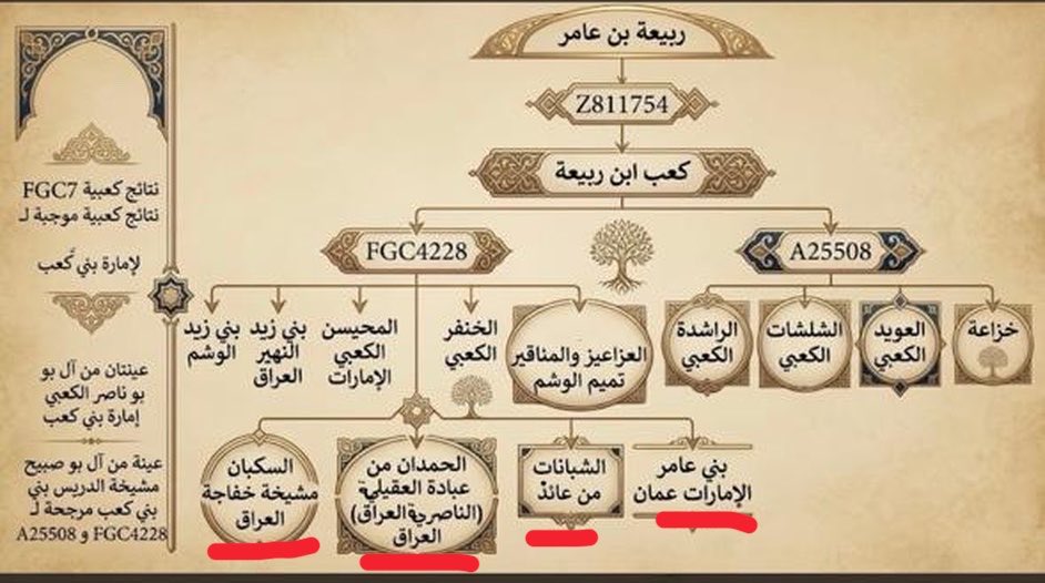 d_alharbi0's tweet photo. احسنت ولهذا السبب نجد تكتلهم تحت تحور بني عُقيل FGC4228 تحت FGC6 وبجانبهم الشبانات ومن الشبانات آل عصفور العُقيليين حكام الدولة العصفورية

عصفور بن راشد بن عميرة بن سنان بن غفيلة بن شبانة بن قديمة بن شبانة بن عامر

وبجانبهم الحمدان من عبادة العقيلية وآل صكبان شيوخ خفاجة العقيلية https://t.co/iXZ5GfG9JQ