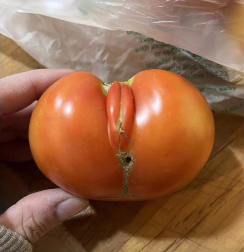 AfcWyne's tweet photo. We all love tomatoes, right? ๐
#NaijaTwitter #FoodTwitter #Nigeria https://t.co/Obr9F1Elk5