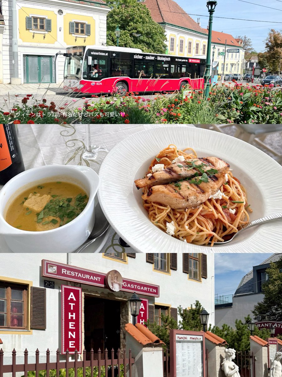 tig_xo_'s tweet photo. ヨーロッパ旅行3⃣✈️🤍

📍Austria / Vienna🇦🇹

今回の旅行で1番長くいたオーストリア^ᴗ ̫ ᴗ^♩
何度か来ているけど、どこを切り取っても美しくて眺めてるだけでも幸せ🥹🤍
ウィーン市内で1人歩きしたりのんびり過ごせた🌿 ܸ https://t.co/CIE6x6fz6H