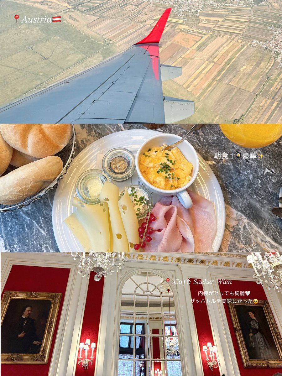 tig_xo_'s tweet photo. ヨーロッパ旅行3⃣✈️🤍

📍Austria / Vienna🇦🇹

今回の旅行で1番長くいたオーストリア^ᴗ ̫ ᴗ^♩
何度か来ているけど、どこを切り取っても美しくて眺めてるだけでも幸せ🥹🤍
ウィーン市内で1人歩きしたりのんびり過ごせた🌿 ܸ https://t.co/CIE6x6fz6H