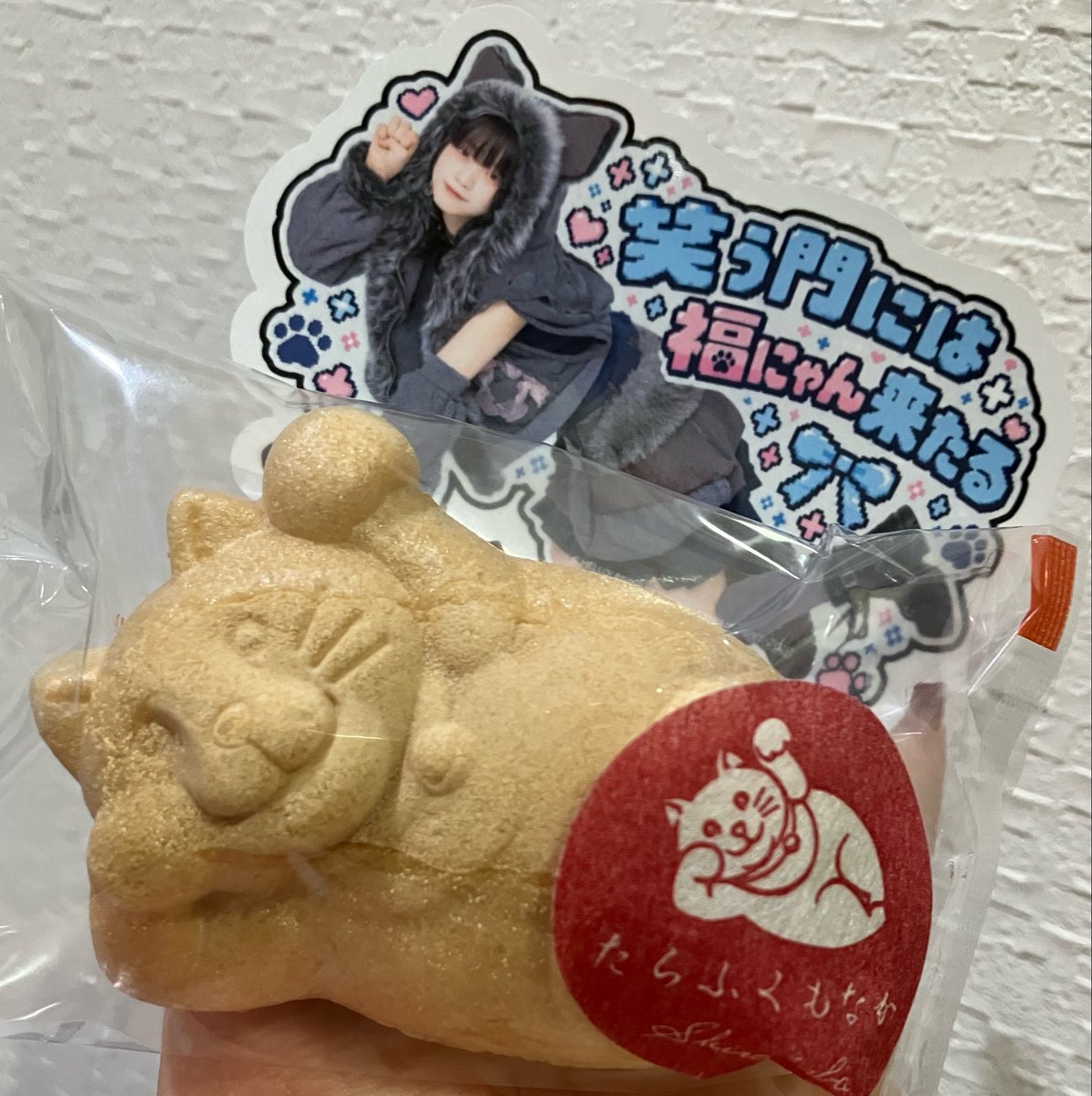 halopon1030's tweet photo. 真琳ちゃんのバーイベ帰り途中で
一目惚れして買った猫もなか🐱

次会えるのはもぅ卒コン武道館

正式に22歳になったまりんちゃんも
楽しみ😌💙

#福田真琳 https://t.co/lQXBucke8K
