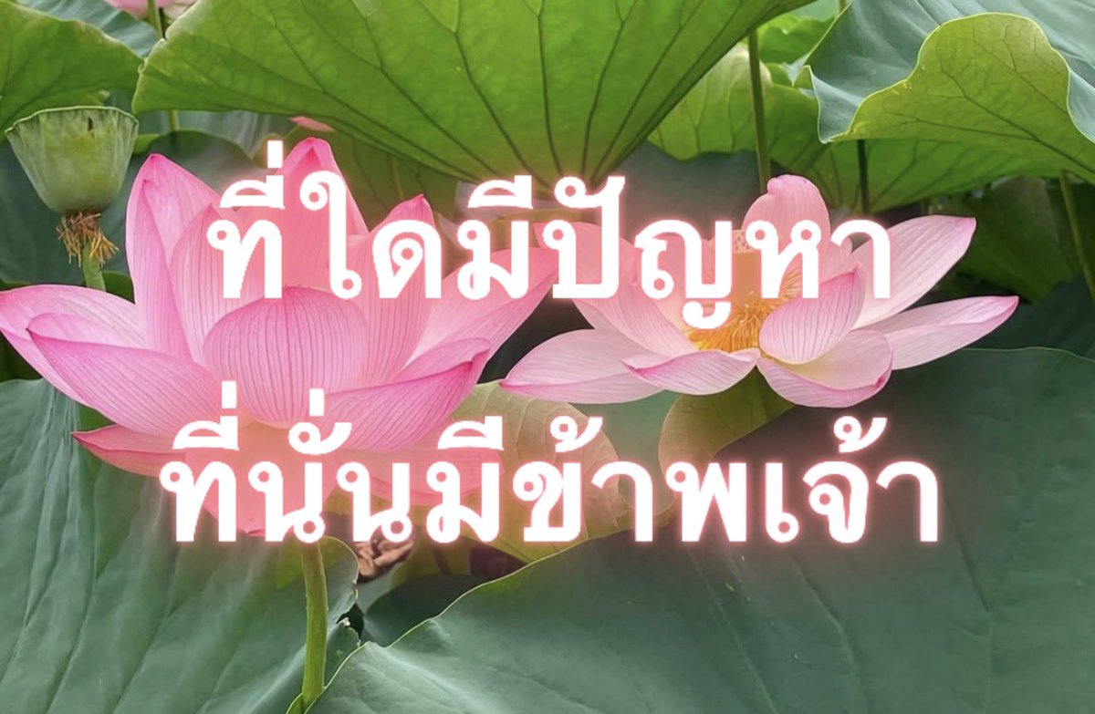 Iaunza's tweet photo. หนีไปไหนก็เจอ https://t.co/VYC8JQepVf